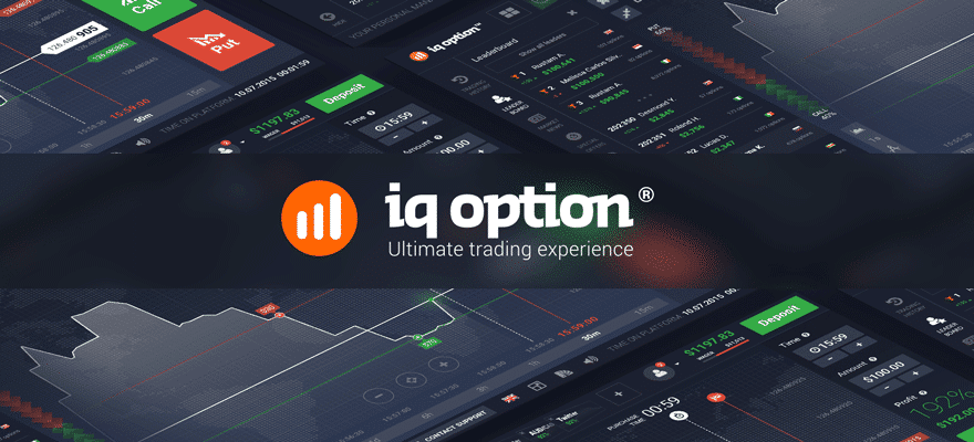 iq option trading company