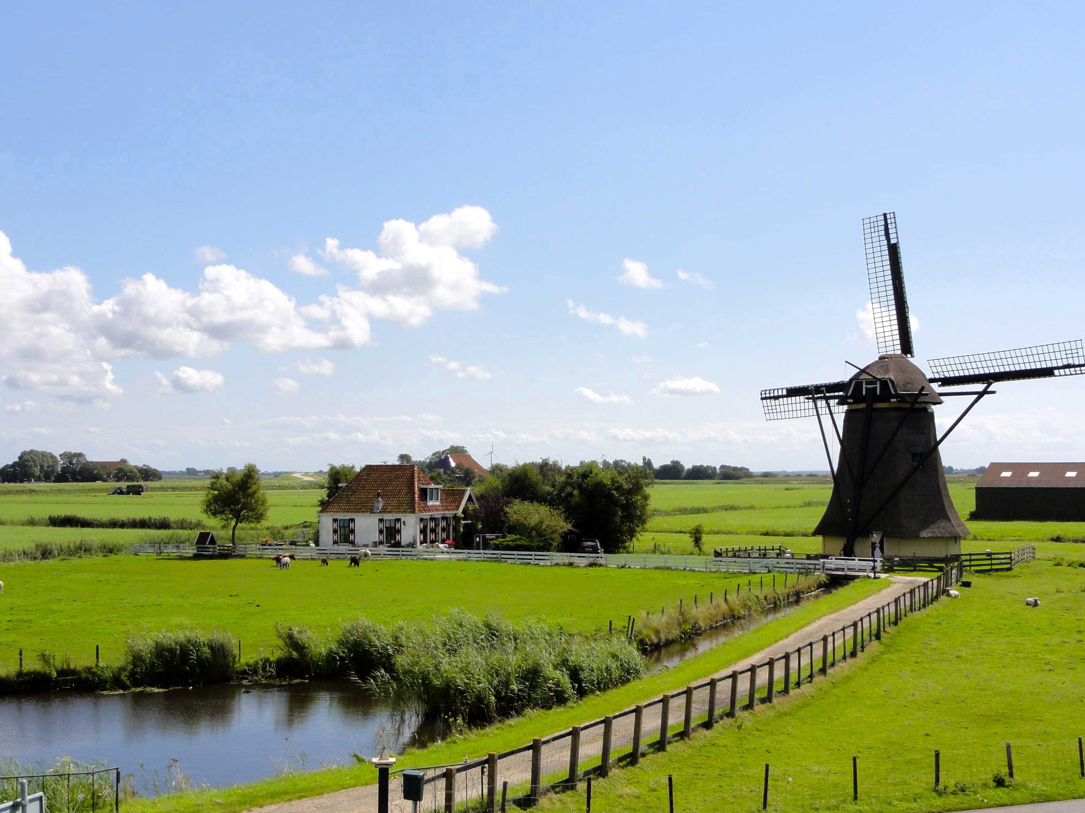 Breaking: Netherlands to Introduce Ban on Binary Options and CFDs Advertising