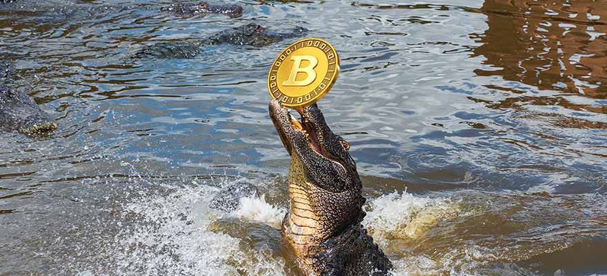 Florida County to Accept Tax Payments in Cryptocurrency