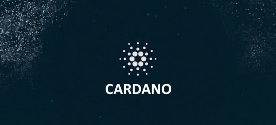 Cardano Foundation Appoints Its First CEO and Head of Growth