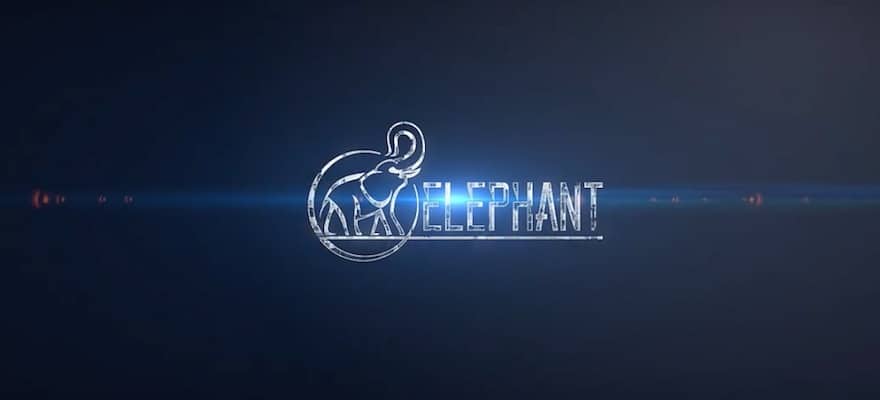 elephant 880x400