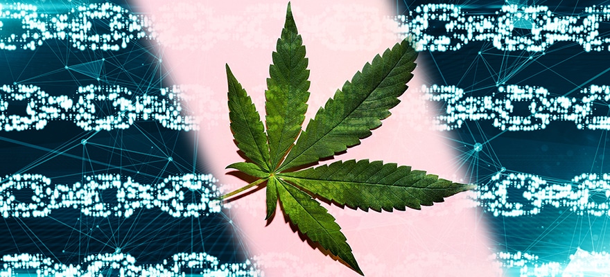 Blockchain and Cannabis
