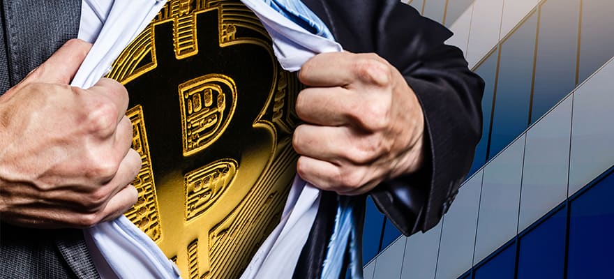94,000 Bitcoin Addresses Holding at Least $1 Million in BTC
