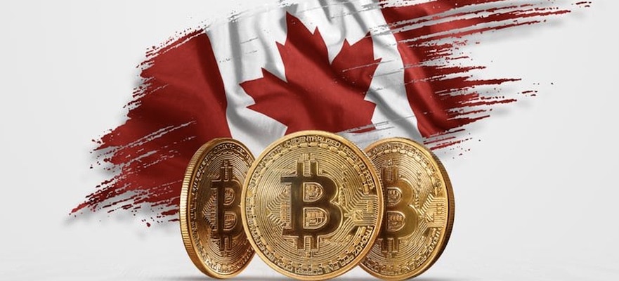 Canadian Bitcoin ETFs Hammered by the Crypto Bear Market