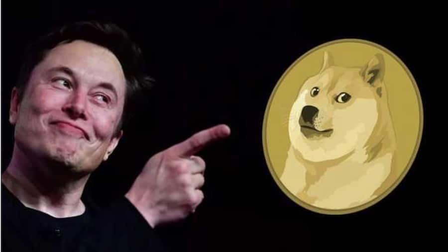 Dogecoin and Elon Musk