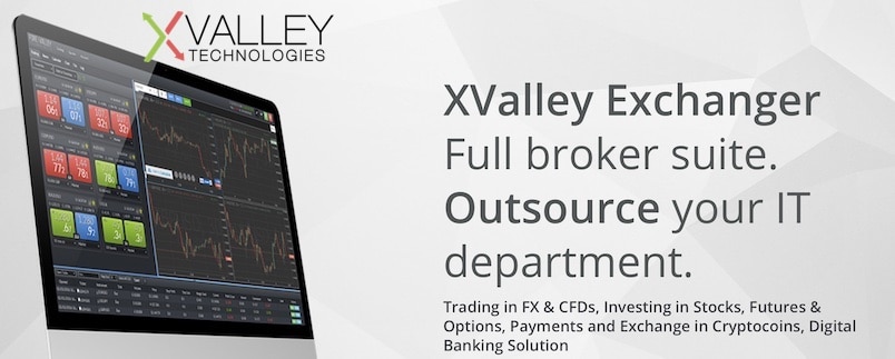 XValley Technologies: Creating a Crypto Token for Businesses