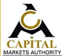 capital markets logo